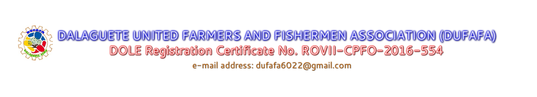 Dalaguete United Farmers and Fishermen Association (DUFAFA)